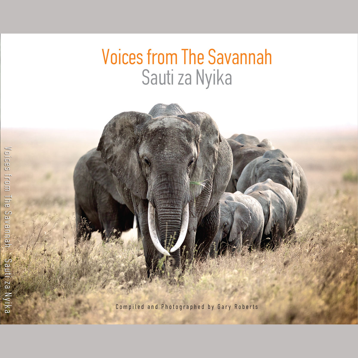 Voices of the Savannah